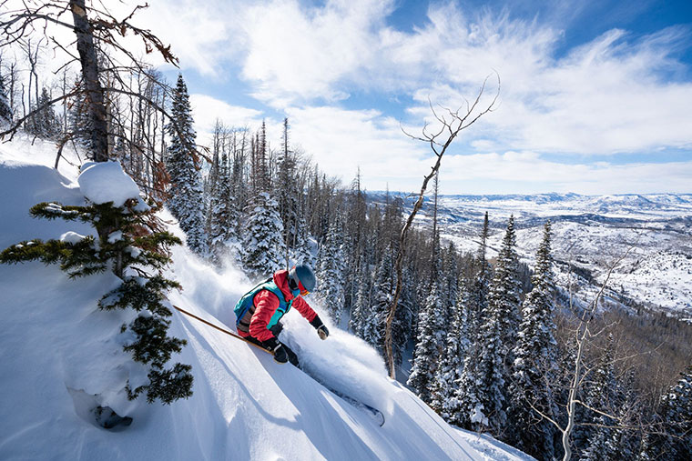 Skier and Snowboarder