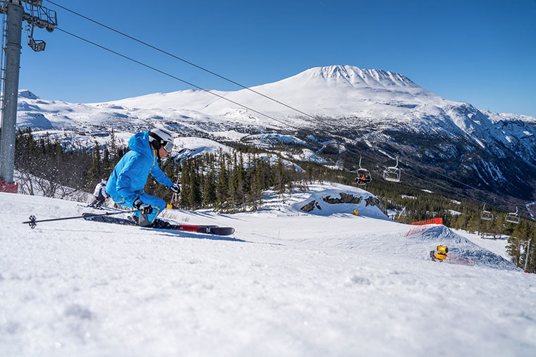 Skier and Snowboarder