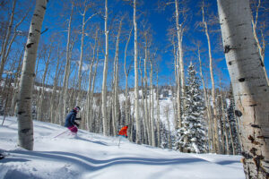 Skier and snowboarder