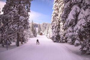 Skier and Snowboarder