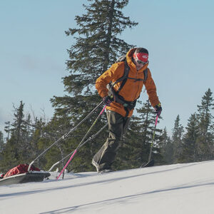 A skier in an orange jacket hauls a loaded sled across a snowy slope lined with evergreen trees.