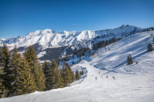 Skier and Snowboarder Journal – the UK’s authentic free ski and snowboard journal