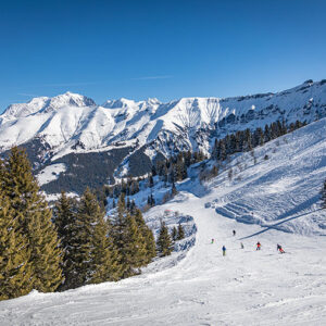 Beginner-friendly ski destinations guide Skiers descend a wide snowy piste framed by evergreen trees, with rugged snow-capped mountain peaks rising under a clear blue sky.