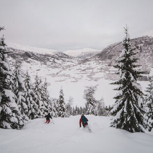 Tour operator set for biggest ever winter in Norway Two skiers in winter gear descend a powdery slope framed by snow-laden evergens, overlooking a wide snow-covered valley under a grey sky.