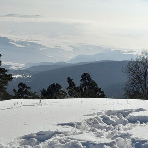 Skiing and serenity in Sarikamis, Turkey A snowy mountain landscape viewed from a high vantage point, with footprints trailing across the foreground snow towards tree-lined ridges in the distance.