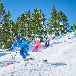 Four skiers in bright jackets descend a snowy slope bordered by snow-dusted evergreen trees under a clear blue sky.