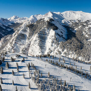 Snow-covered mountain peaks with scattered evergreen trees on ski slopes stretch beneath a clear blue sky.