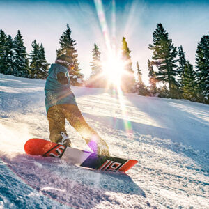 Skiers demand value for money, research reveals A snowboarder carves through powder on a sunlit slope, with pine trees silhouetted against the bright sun behind.