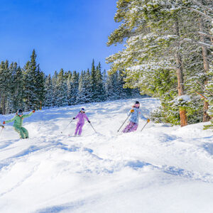 Four skiers in colourful jackets descend a powdery slope through snow-laden evergreen trees under a clear blue sky.